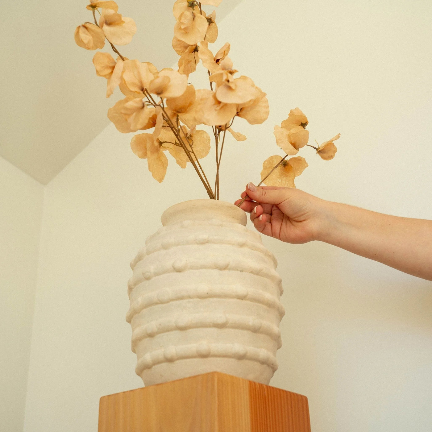 Sweet Pea Floral Stem