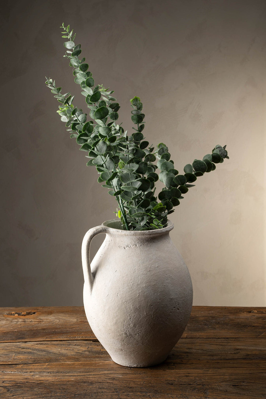 Eucalyptus Branch
