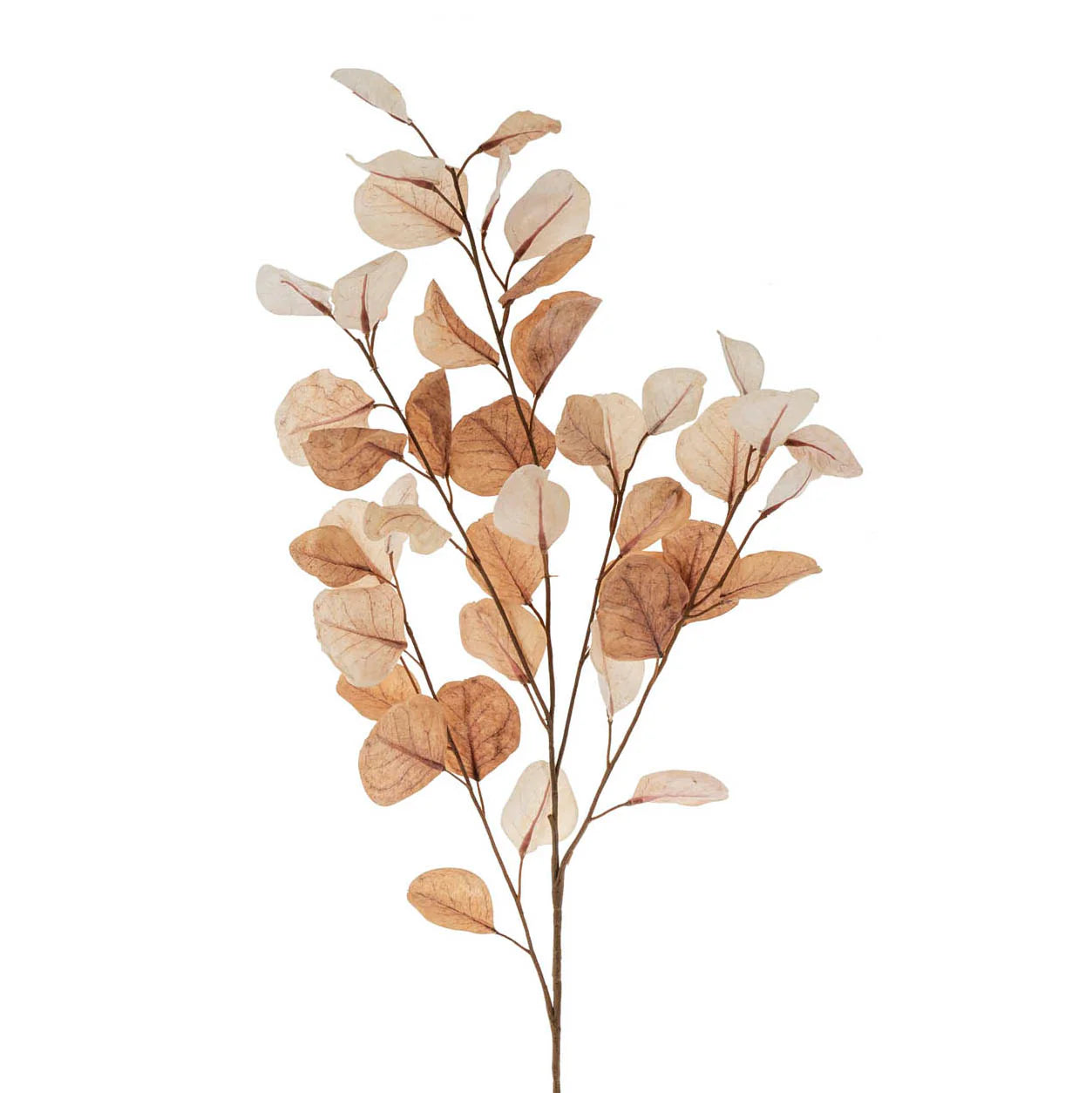 Faux Dried Eucalyptus Branch