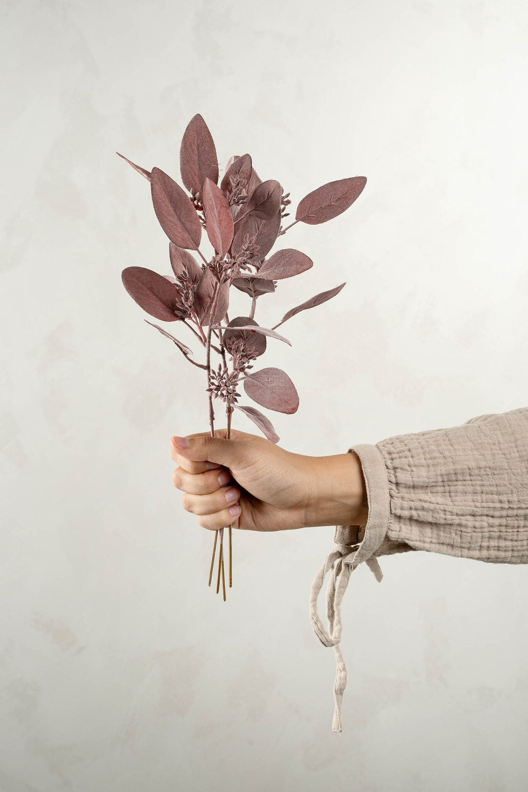 Mauve Eucalyptus Pick