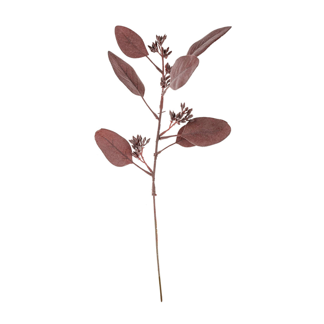 Mauve Eucalyptus Pick