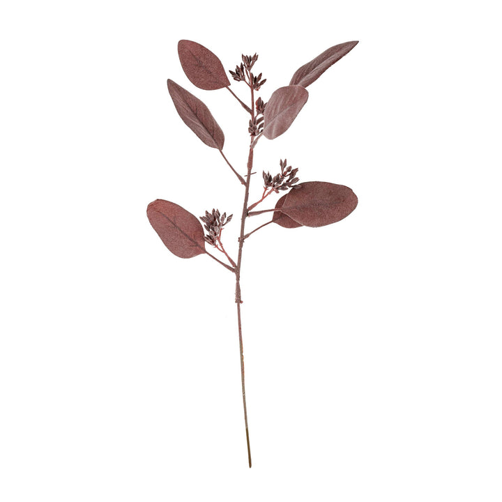 Mauve Eucalyptus Pick
