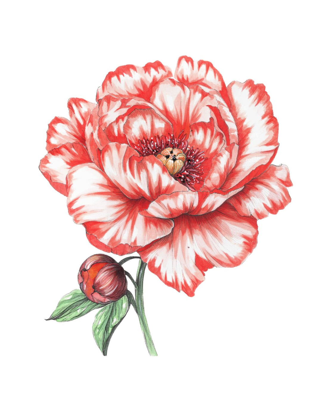 Bold Blooms Watercolour Workbook