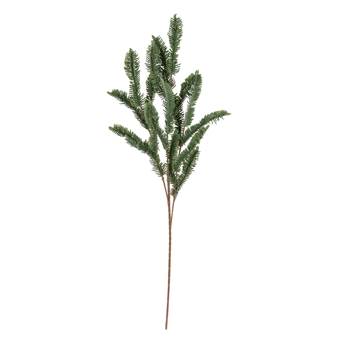 Pine Sprig