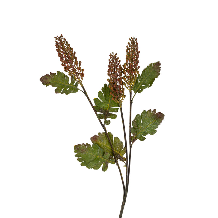 Astilbe Spray