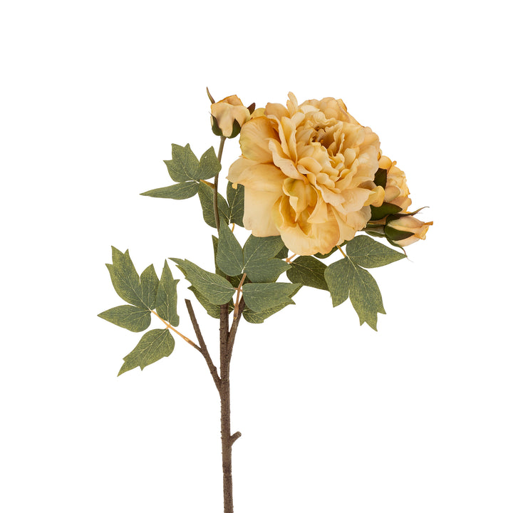Peony Stem - Butter Yellow