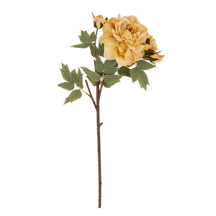 Peony Stem - Butter Yellow