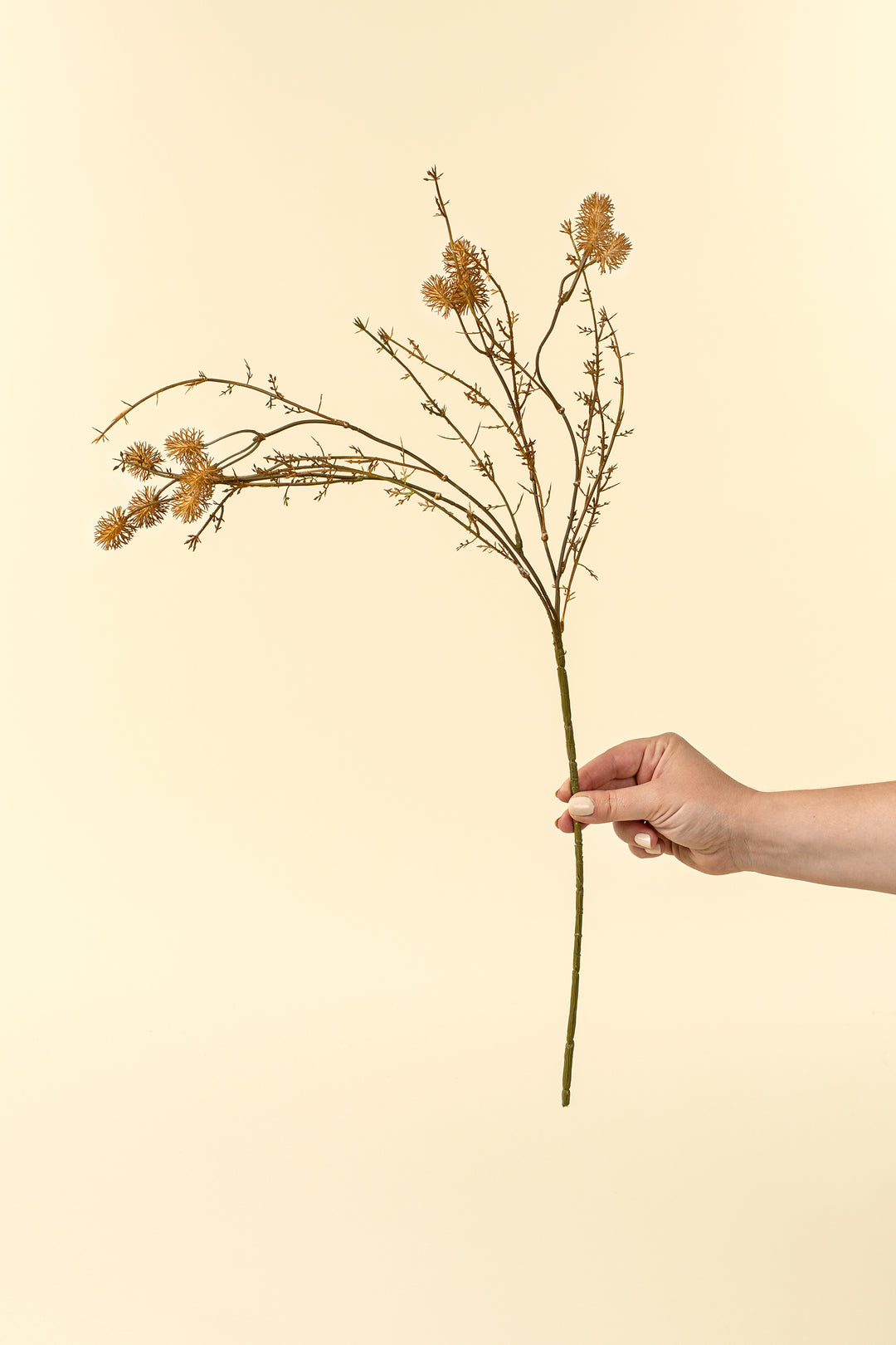 Whispy Twig Spray