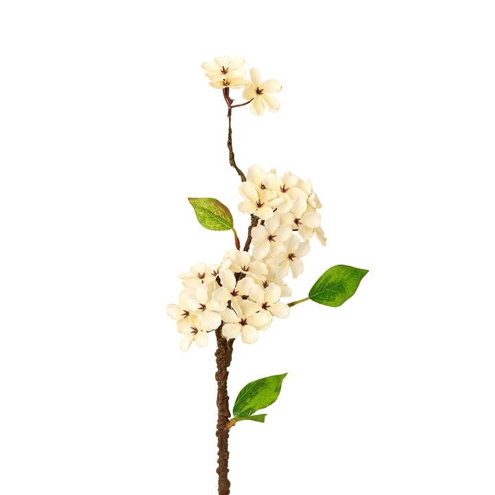 Pear Blossom Stem