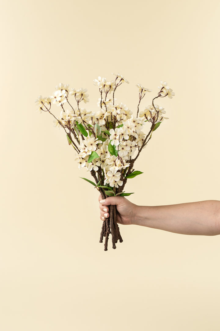 Pear Blossom Stem