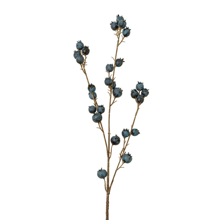 Blueberry Branch