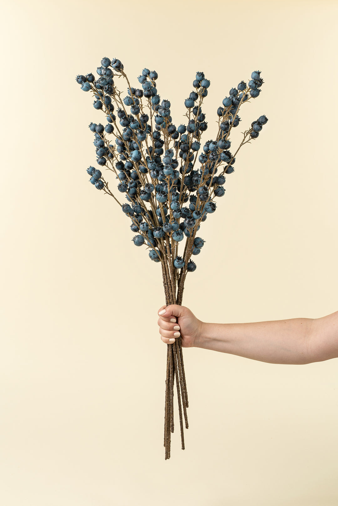 Blueberry Branch