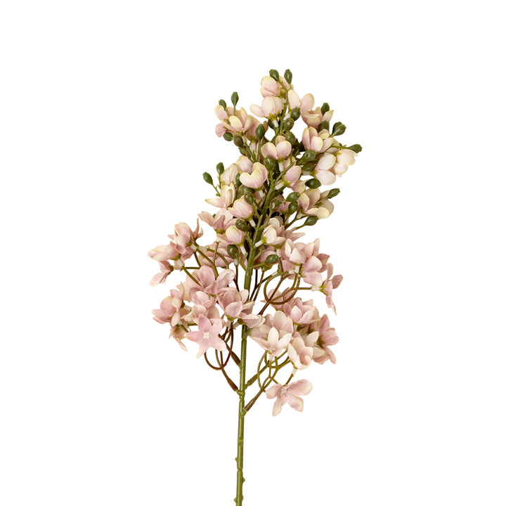 Delphinium Stem