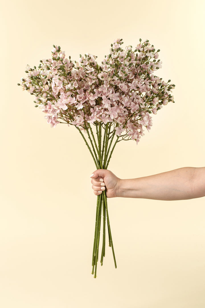 Delphinium Stem