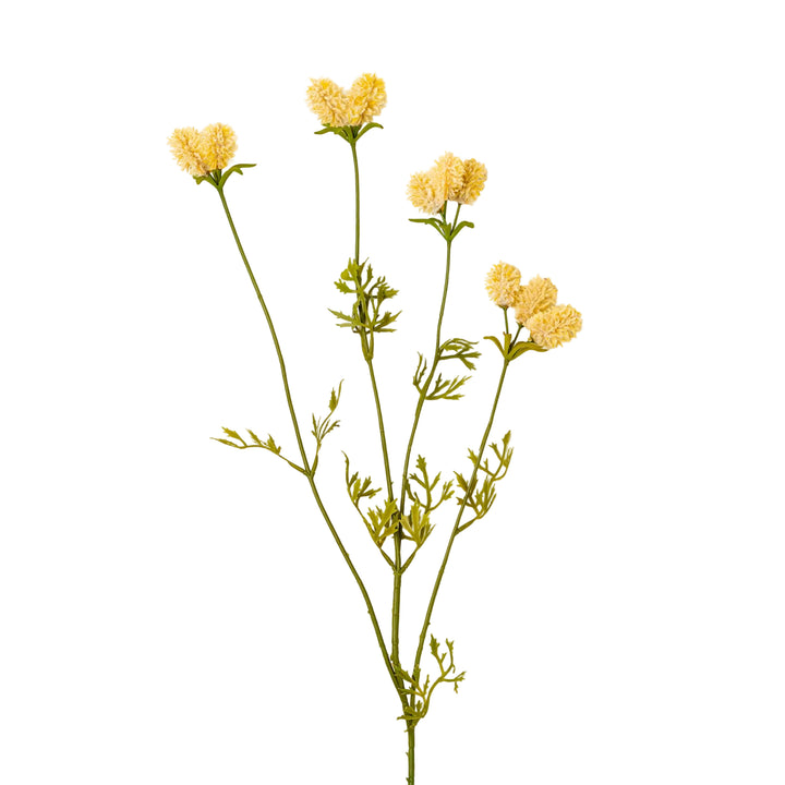 Dandelion Pom Pom Spray