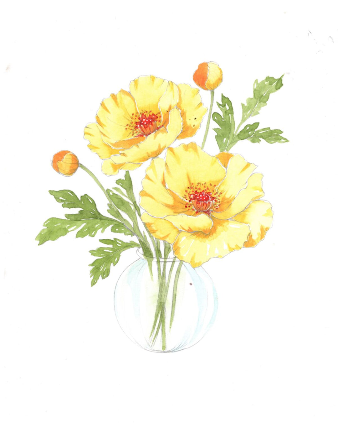 Bold Blooms Watercolour Workbook