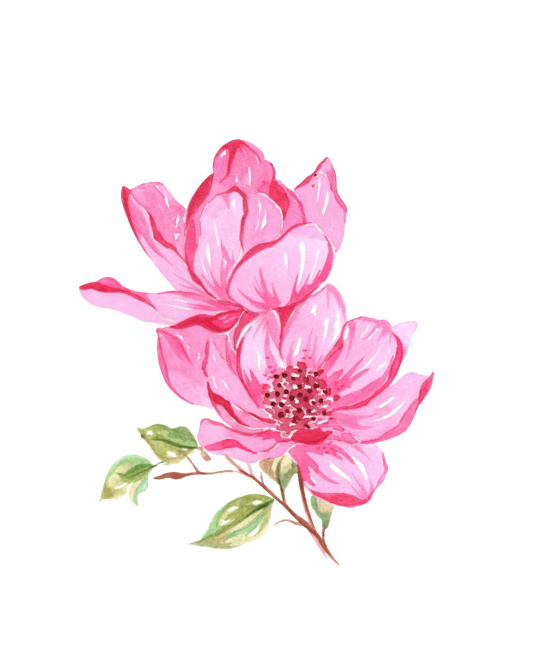 Bold Blooms Watercolour Workbook