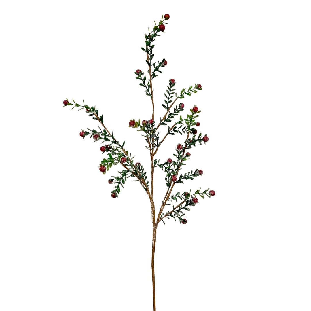 Snowy Boxwood Berry Stem